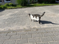 574c5f46-f01b-45c6-bc36-f97629c4cec5