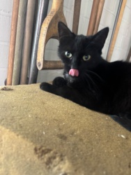 5c43d798-0723-42b6-860f-18dd4b7ffa8a