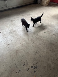 fc99fb65-5973-49cc-a46c-1980a5534432