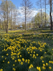 dfef21a3-887f-4262-be36-666f486b5219