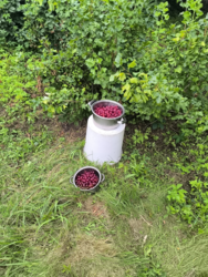 3e9963a4-cf15-4311-b4b8-532740eb7b23