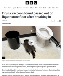 07b85175-98c1-4de5-aeee-f72c2771cafc