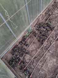 1898dd60-bb71-4308-954e-9de5097f3808