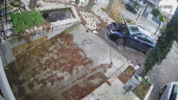 6de4f1c3-dd66-4fba-947b-a9fb6592fdf4