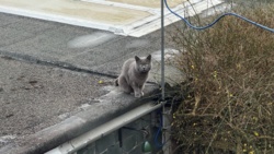 99000492-5b7a-434e-8d70-b0717bc66bcb