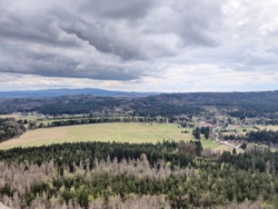 76be757b-681a-44f2-bcb6-0dea18a0c181