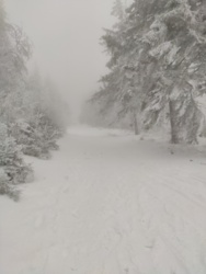 ad1a8a56-8b74-4b6a-b1ba-94a3074f0785