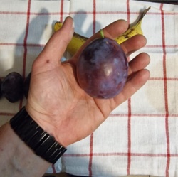 37117882-ae4a-446f-bff1-f0c4a9f1f428