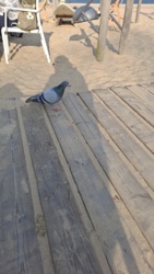 2bc294c7-343a-435b-9b92-f9f486e216f4