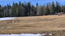 8a76b070-ead7-4253-b2f2-1ed8f703b693