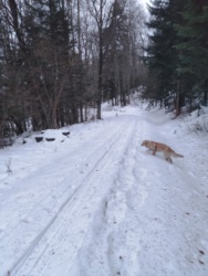 99336821-181e-4b41-b3ae-f596911d20d7