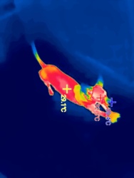 5de590e8-6ffa-434c-8013-be24f9bbe7d8