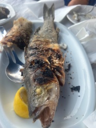 ee8b344d-98f7-42a0-b698-0dd6f3432f83