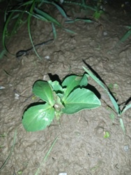 bbfb98b3-e2c2-4048-b26f-5ef8517a6f0f