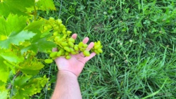 9c320742-6617-4aae-98fa-be7d32cfaf83