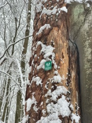 1a4caf2b-8377-42e3-b8b4-fae842b03a87