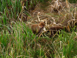 71b308ec-0f0d-40a9-973e-06774af8b0ca