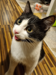 c5990ed1-b3c2-4096-8d38-e71a664eb9bb