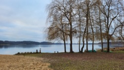 542f6598-d1e9-4629-86c7-f3f1a1459c96