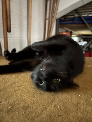 b34d57b6-d296-4186-b1b4-96d1eac6cc2c