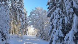 d296fe94-5002-4fcc-80d2-8e20c4dbe9a4