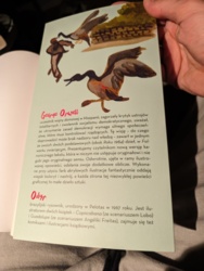 02afc713-6525-4d45-8fee-3d2ec8d8bfd4