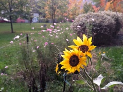 188cf602-b8ed-4420-91ad-77f6b60cd71a