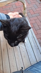 d4aaecc8-caad-4f56-bde7-faae4873055a