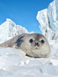 b8c0aa41-a6a7-454f-9f2c-048ca6ee1543