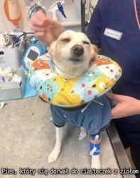 d4c8f7bd-74d8-4112-8c8d-36bba927a6ba