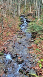 5d44237f-ae71-4870-a33f-a0d9ca242da3