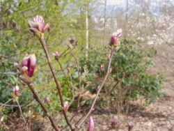 406ece0e-b6b8-4dc4-80fd-d4996c870087