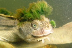 0207611c-0a81-43ad-b3f9-0c1a9eb64dfd