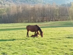 b3a20fb2-9766-471e-98a9-b07a16a0606d