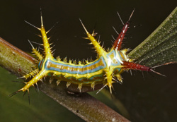 9a7c047f-d58d-4397-8c85-419898023cf6