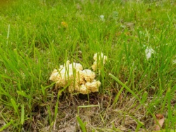 46a7e233-e1e5-44d5-840a-21c9f5f5e99d