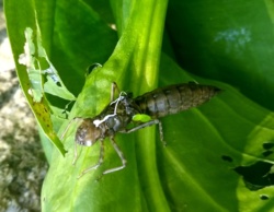 4cbdeeb8-9054-4f85-8335-b874b082efed