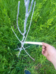 4b1aa2b9-48c2-466e-819f-826672fcc024