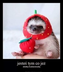 8631b869-1104-4add-bdb2-8768d064bdb6