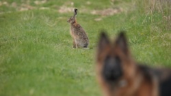 2f7589c3-0823-4a5f-9b3b-e1c9bca55c91