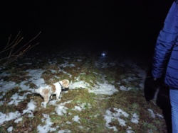 df365a2f-f9db-4402-80f2-c7468bdaed92