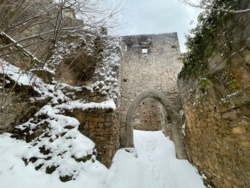 daf0a635-2184-4443-a661-31262c3a7a8b