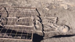 Sensacja archeologiczna w Kujawsko-Pomorskiem. Na budowie odkryto średniowieczne cmentarzysko