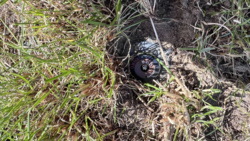 8525ec75-0a47-4c26-abc9-d4219dfbd79e