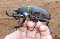 d752d327-954b-44e3-b11d-039b6e473db6