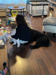 421515e8-78ac-478e-86a7-d7da5b0a75a0