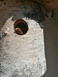 19440fe3-dba4-4425-b952-0c19691a73e6