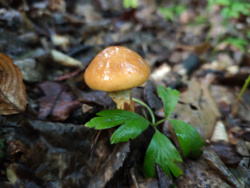 e1d23907-cd25-4d18-b469-d37b42d0d6c1