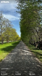 f0280523-03aa-47da-9056-48b2f6f7944a