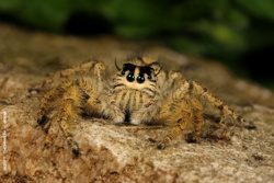 5807d3c0-f788-40e5-a23d-93c98e4d5e38